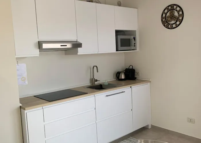 公寓 Garda Girasole Trilocale A Due Passi Dal Con Posto Auto Privato 代森扎诺-德尔加达